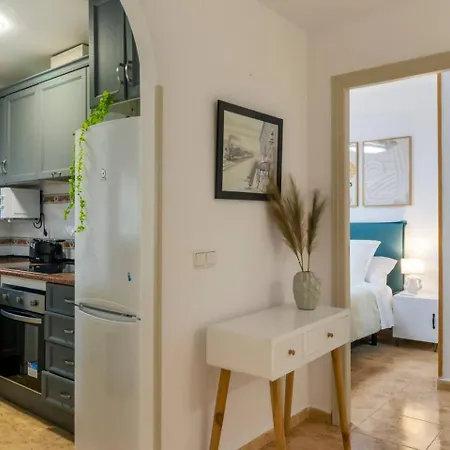 Pink Viajero 또레비에하