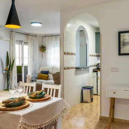 Pink Viajero * 또레비에하